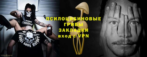 дживик Алексеевка