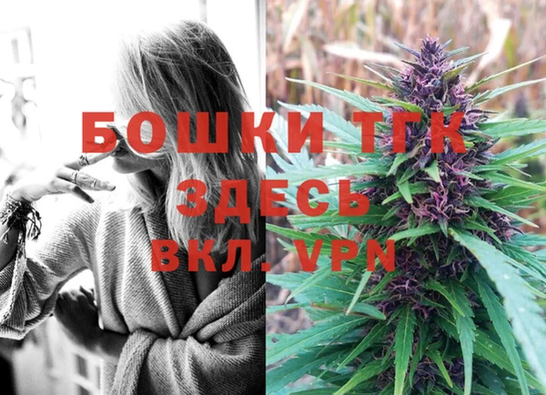 дмт Алексин