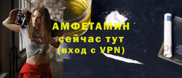 дмт Алексин