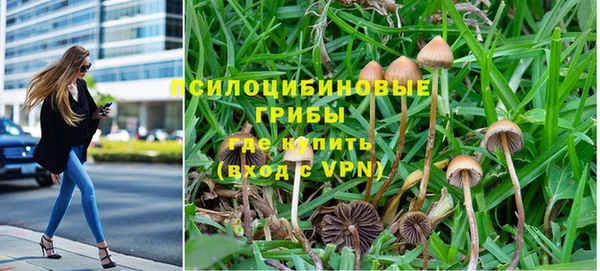 бошки Зеленокумск